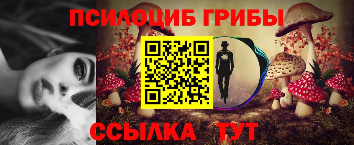 купить наркоту  Галлюциногенные грибы Magic Shrooms  Вход с VPN  Югорск 